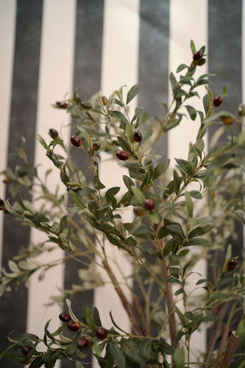 redimensión luwanda (17)