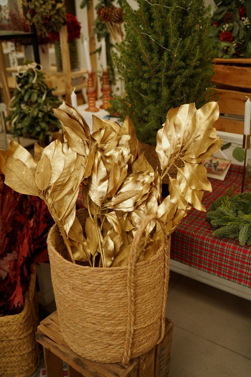 redimensión luwanda (18)