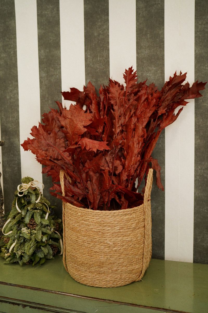 redimensión luwanda (19)