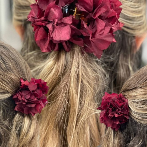 Pinza del Pelo Hostensias