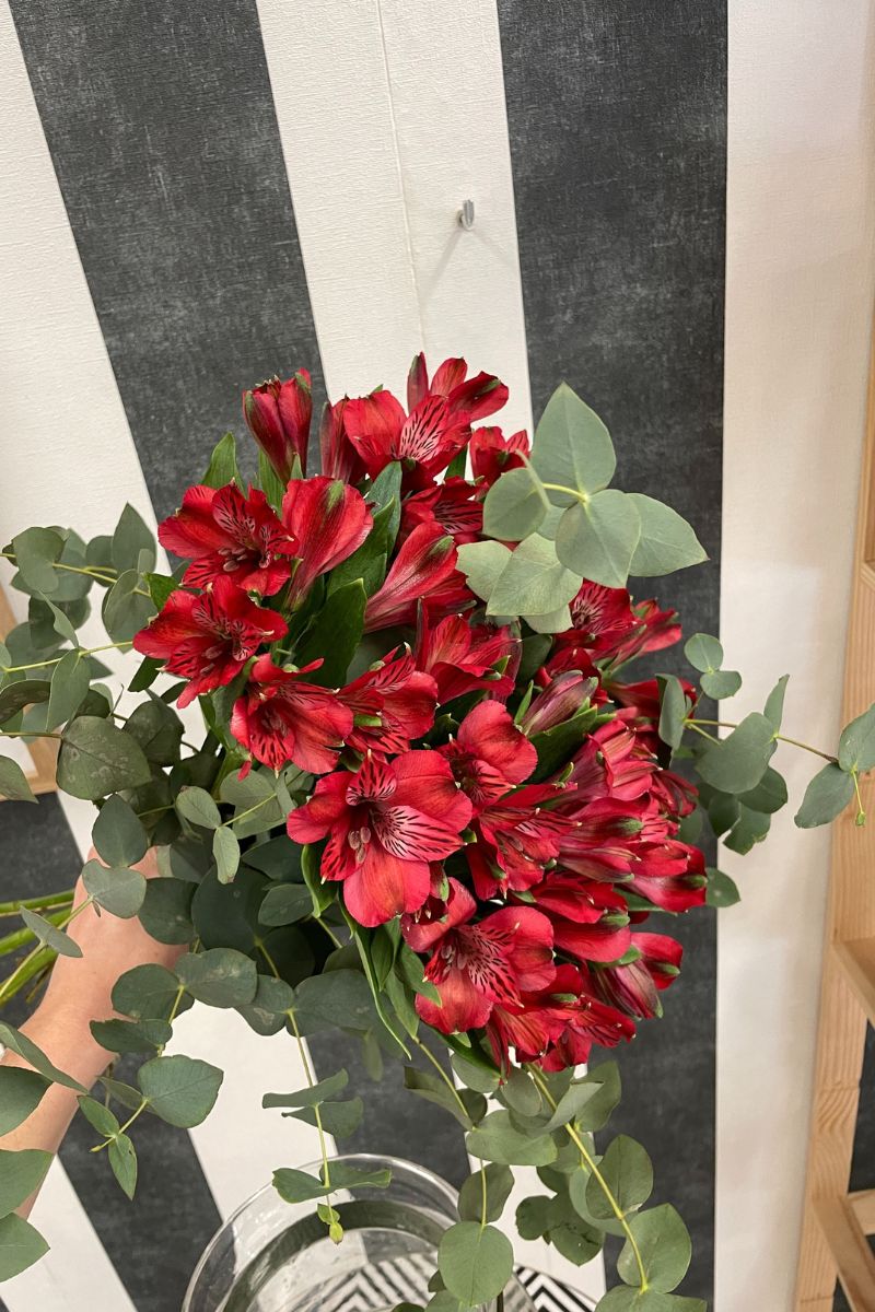 redimensión luwanda.3jpg